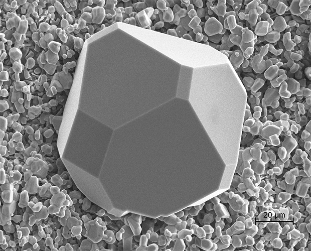  Rasterelektronenmikroskopie (REM)